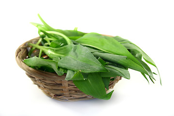 Image showing Wild Garlic