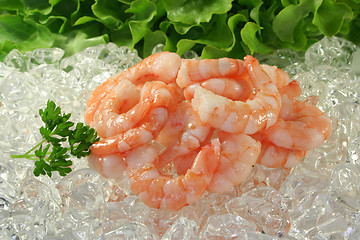 Image showing Shrimp