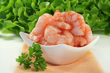 Image showing Shrimp