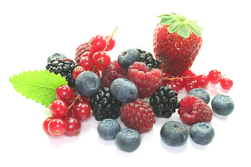 Image showing Berries