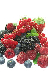 Image showing Berries