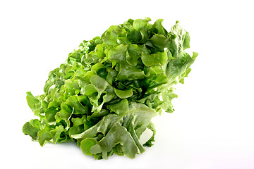 Image showing oak leaf lettuce