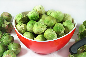 Image showing Brussel sprouts