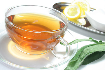 Image showing Sage tea