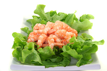 Image showing Shrimps