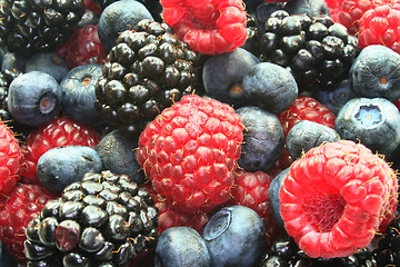 Image showing Berries