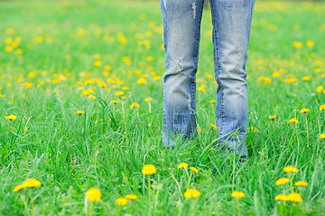 Image showing Person in the meadow