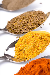 Image showing various spices