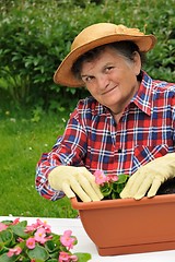 Image showing Senior woman - gardening