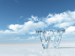 Image showing frozen w