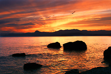 Image showing Beatifull sunset