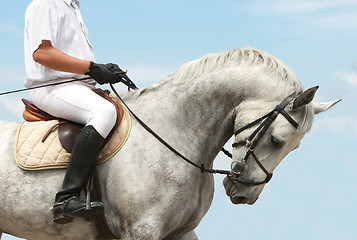 Image showing jokey on dressage horse