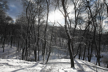 Image showing Winter snow park