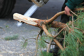 Image showing new year tree