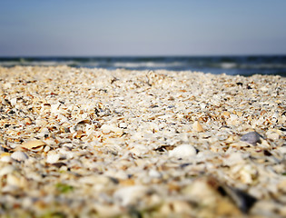 Image showing Sand and shells on beach.