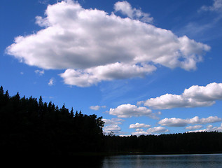 Image showing White clouds above wood lake