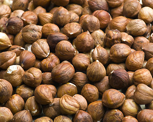 Image showing Hazelnuts