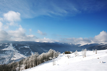 Image showing Carpathian Mountains