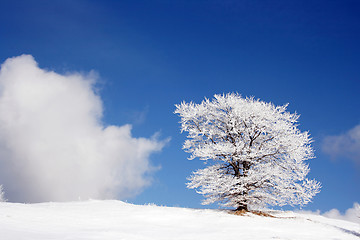 Image showing winter landscape