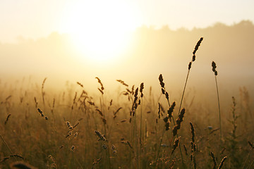 Image showing Misty sunrise 