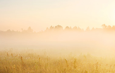 Image showing Misty morning