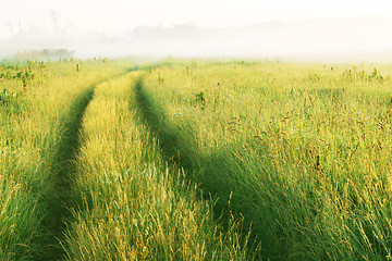 Image showing road through the meadow