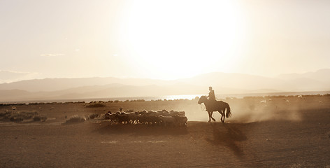 Image showing Mongolian boy drove herd of sheeps