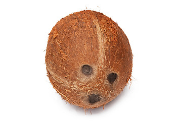 Image showing Coconut