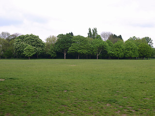 Image showing Urban Park