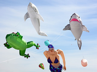 Image showing Giant Kites