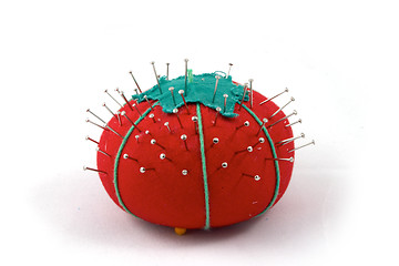 Image showing The pincushion