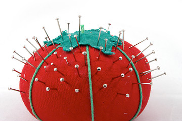 Image showing The pincushion