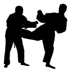 Image showing Karate fight