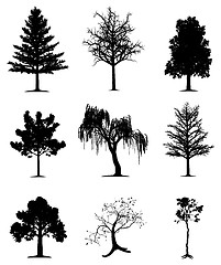 Image showing Trees collection