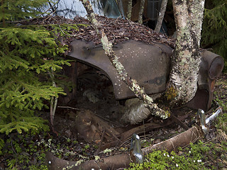 Image showing Overgrown car in nature