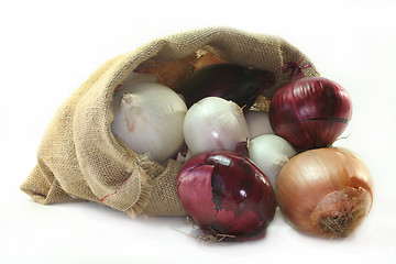 Image showing Onions
