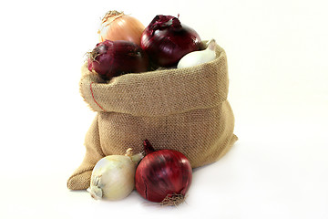 Image showing Onions