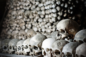 Image showing Human skulls