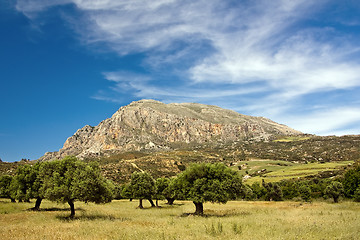 Image showing Garden against a rocky mountain