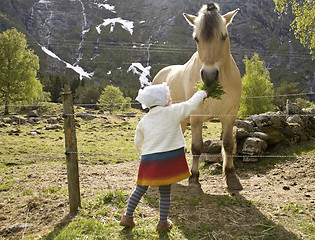 Image showing Girl feeding horse