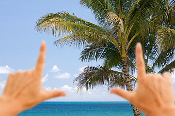 Image showing Hands Framing Palm Trees and Tropical Waters