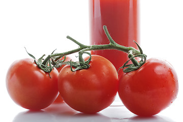 Image showing Branch of tomatoes