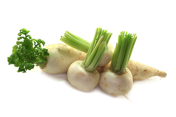 Image showing Radish