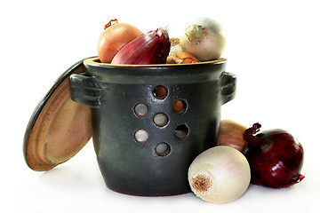 Image showing Onion Pot