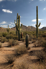 Image showing Desert Road