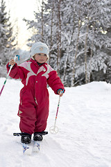 Image showing Toddler skiing