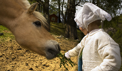 Image showing Child feeding horse