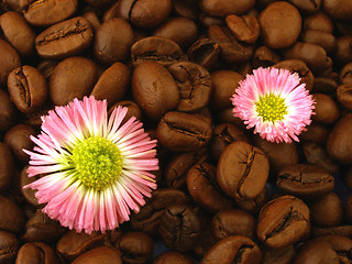 Image showing coffee