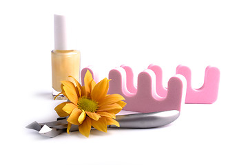 Image showing pedicure beauty set