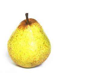 Image showing Pear